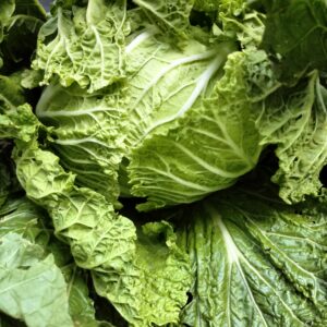 Chinese cabbage per kg
