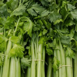 Celery per kg