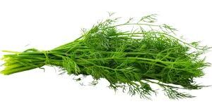 Dill per bunch