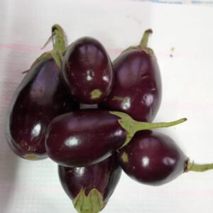 Eggplants per kgs