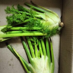 Fennel per kg