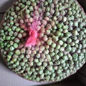 Garden peas per kg