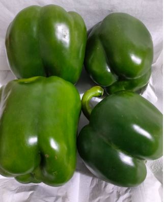 Green Peppers (capsicum) per kg