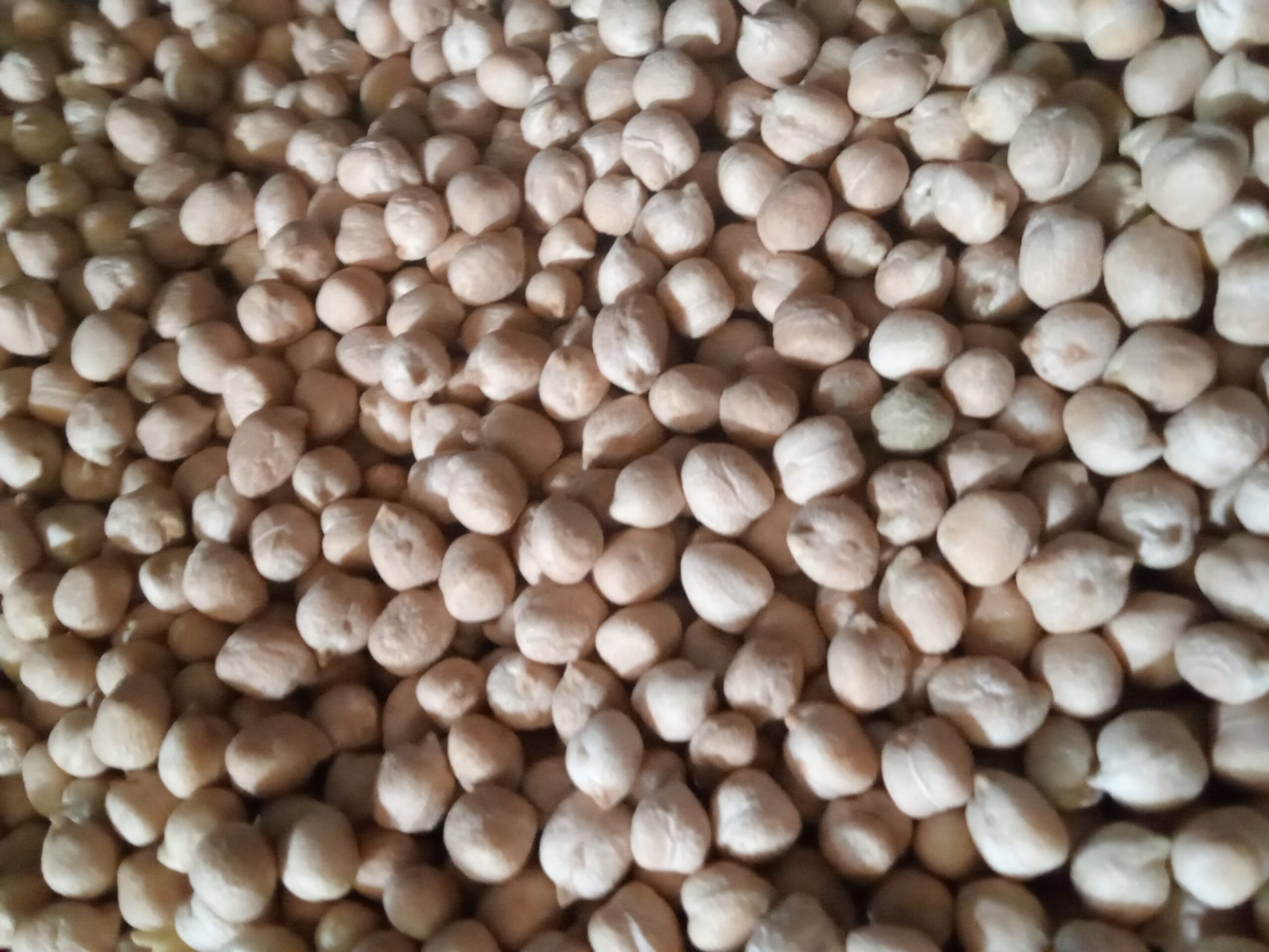Chickpeas (white mbaazi) per kg