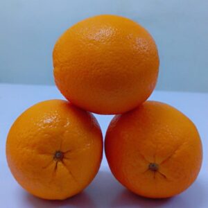 Imported Oranges per kg